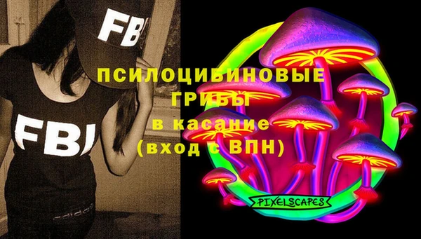хмурый Алзамай