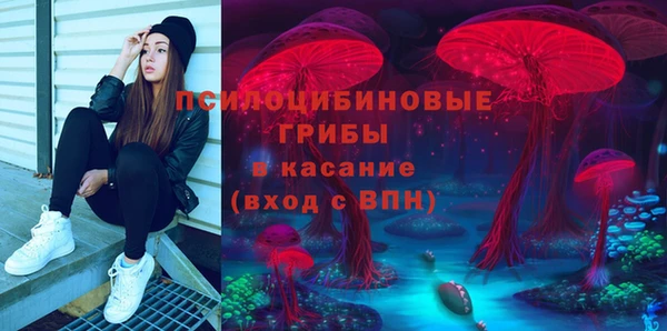 a pvp Абаза