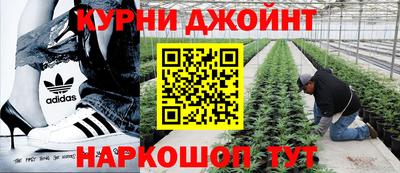 МДПВ Сланцы