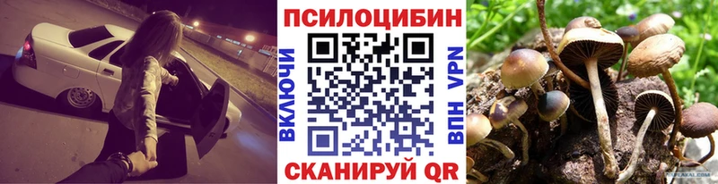 MEGA зеркало  Стерлитамак  Псилоцибиновые грибы мицелий  где продают наркотики 