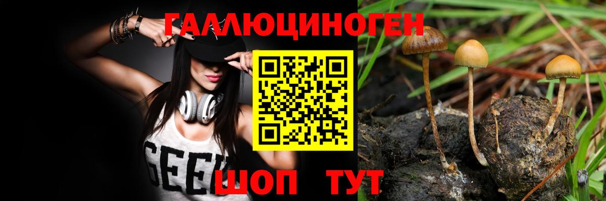 Псилоцибиновые грибы MAGIC MUSHROOMS  Галлюциногенные грибы Cubensis  Вход с VPN  Стерлитамак 